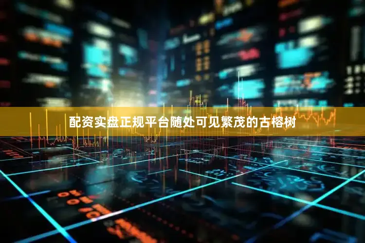 配资实盘正规平台随处可见繁茂的古榕树