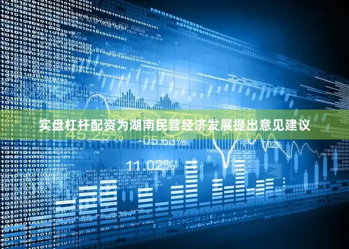 实盘杠杆配资为湖南民营经济发展提出意见建议