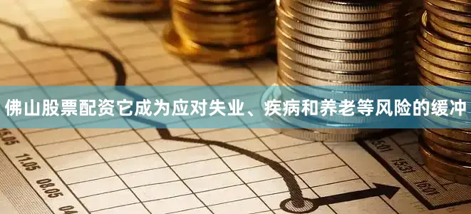 佛山股票配资它成为应对失业、疾病和养老等风险的缓冲
