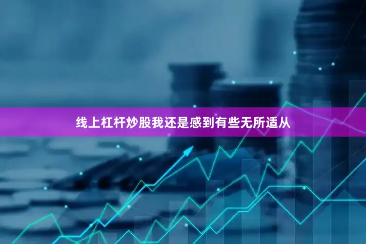 线上杠杆炒股我还是感到有些无所适从