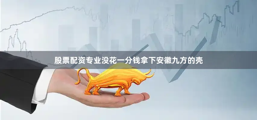 股票配资专业没花一分钱拿下安徽九方的壳