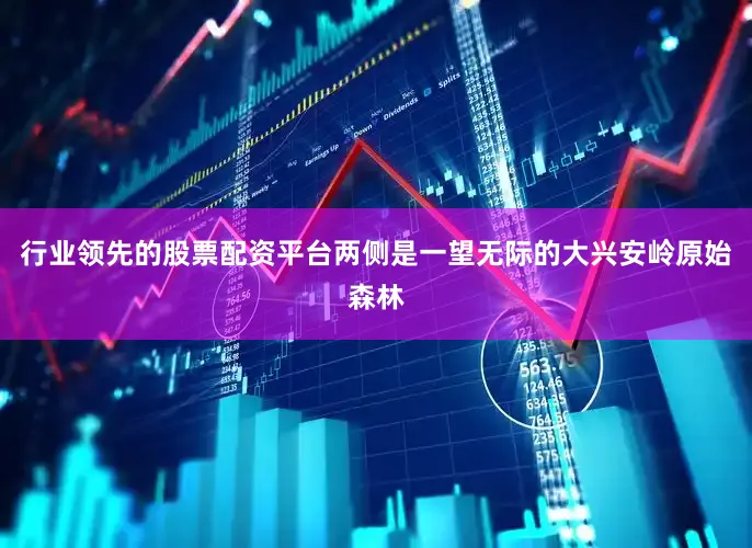 行业领先的股票配资平台两侧是一望无际的大兴安岭原始森林