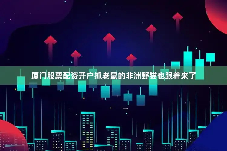 厦门股票配资开户抓老鼠的非洲野猫也跟着来了